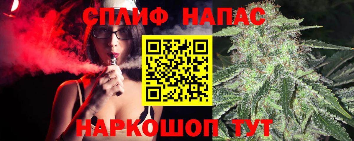 Канабис конопля Грозный